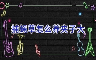 捕蝇草怎么养夹子大插图