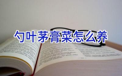 勺叶茅膏菜怎么养插图
