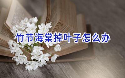 竹节海棠掉叶子怎么办插图
