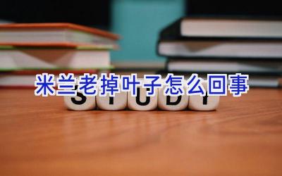 米兰老掉叶子怎么回事插图