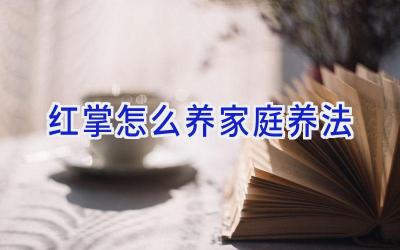 红掌怎么养家庭养法插图