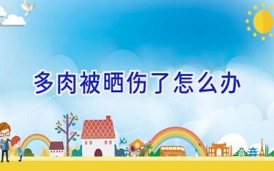 多肉被晒伤了怎么办插图