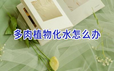 多肉植物化水怎么办插图