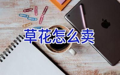 草花怎么卖插图
