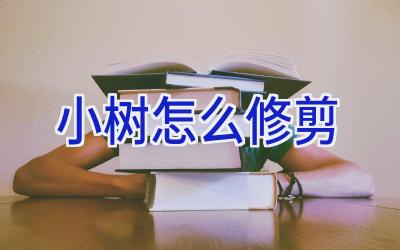 小树怎么修剪插图