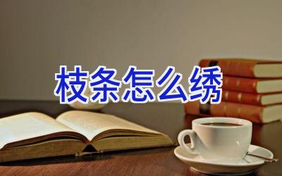 枝条怎么绣插图
