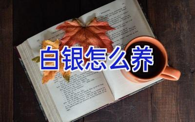 白银怎么养插图