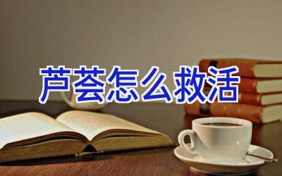 芦荟怎么救活插图