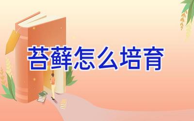 苔藓怎么培育插图