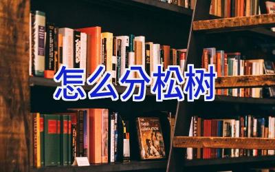 怎么分松树插图
