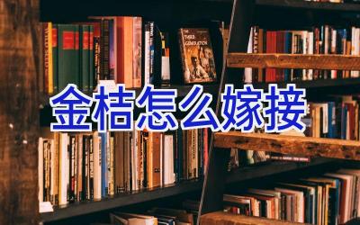 金桔怎么嫁接插图