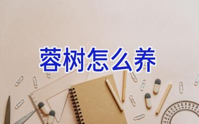 蓉树怎么养插图