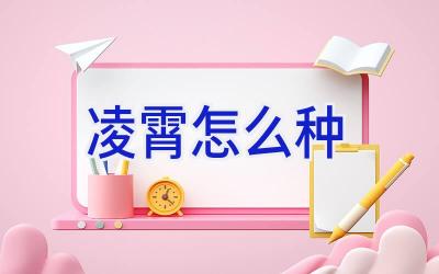 凌霄怎么种插图