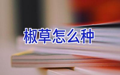 椒草怎么种插图