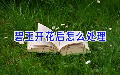 碧玉开花后怎么处理插图