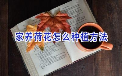 家养荷花怎么种植方法插图