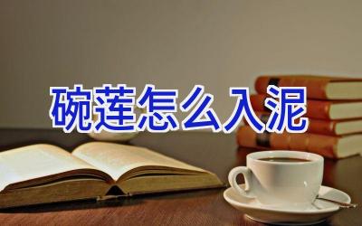 碗莲怎么入泥插图