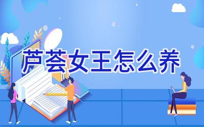 芦荟女王怎么养插图