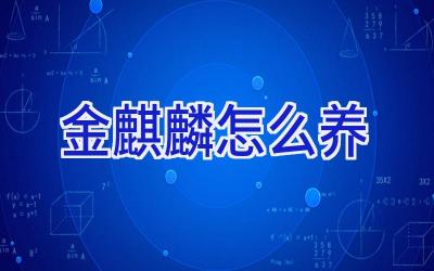 金麒麟怎么养插图