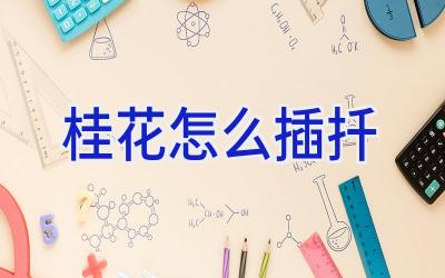 桂花怎么插扦插图