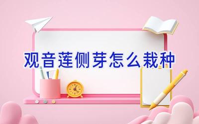 观音莲侧芽怎么栽种插图