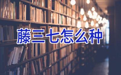藤三七怎么种插图