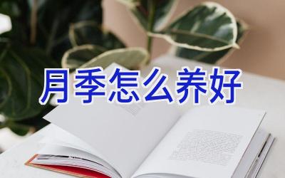 月季怎么养好插图