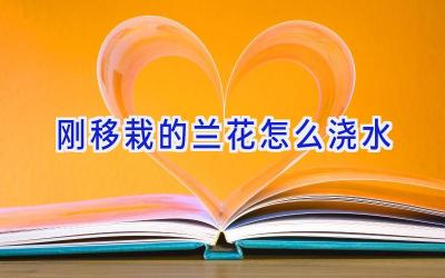 刚移栽的兰花怎么浇水插图