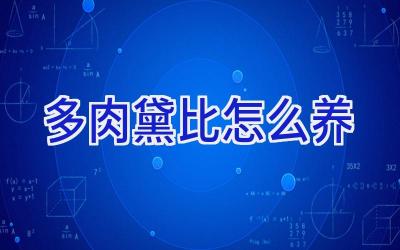 多肉黛比怎么养插图