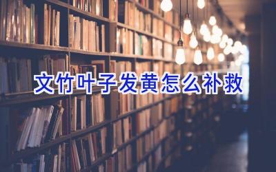 文竹叶子发黄怎么补救插图