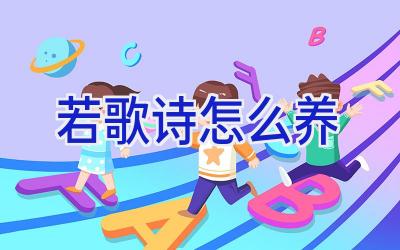 若歌诗怎么养插图