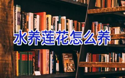 水养莲花怎么养插图