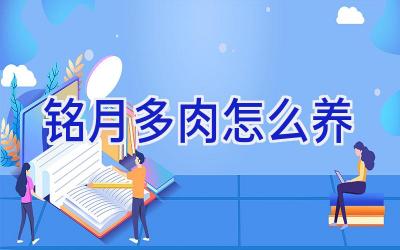 铭月多肉怎么养插图