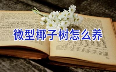 微型椰子树怎么养插图