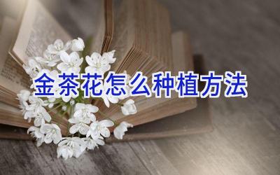 金茶花怎么种植方法插图