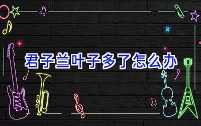 君子兰叶子多了怎么办插图