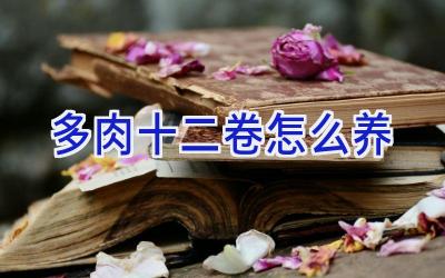 多肉十二卷怎么养插图