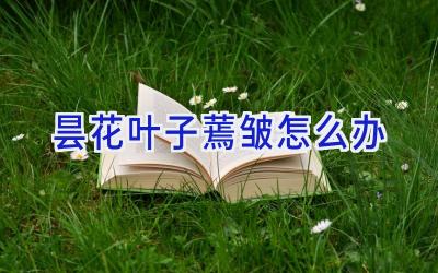 昙花叶子蔫皱怎么办插图