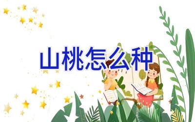 山桃怎么种插图