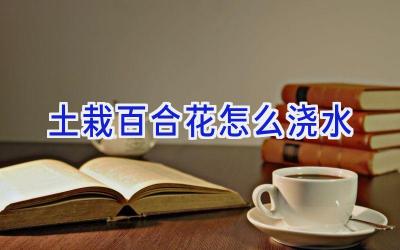 土栽百合花怎么浇水插图