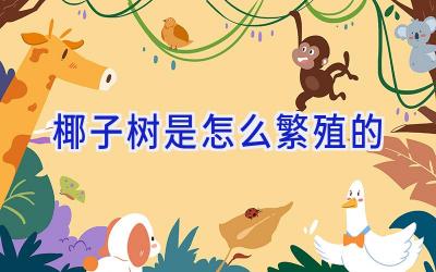 椰子树是怎么繁殖的插图