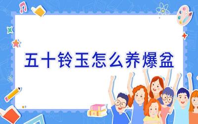 五十铃玉怎么养爆盆插图