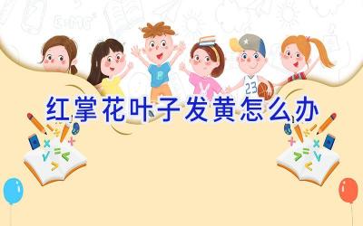红掌花叶子发黄怎么办插图