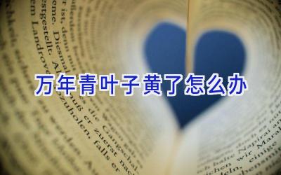 万年青叶子黄了怎么办插图