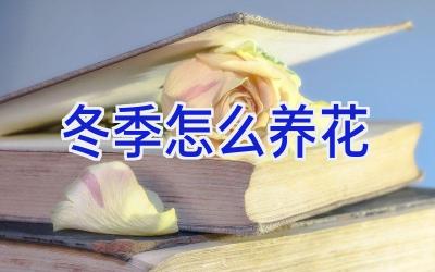 冬季怎么养花插图