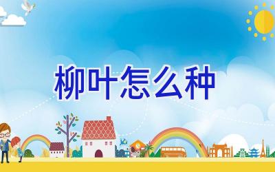 柳叶怎么种插图