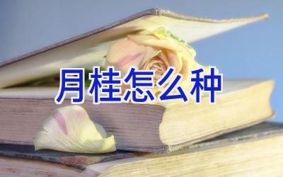 月桂怎么种插图