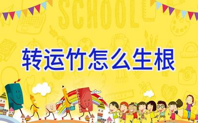 转运竹怎么生根插图
