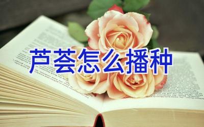 芦荟怎么播种插图