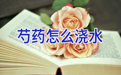 芍药怎么浇水插图